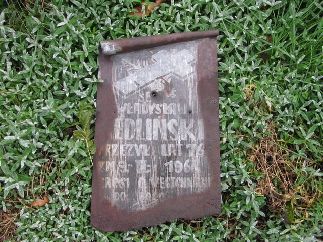 Stanisława Pośpiech 1939 Dąbrowa Wielka - Grobonet - Wyszukiwarka osób pochowanych