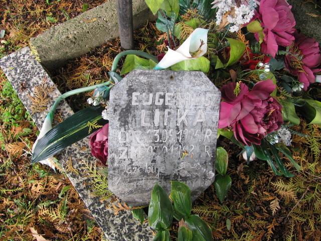 Eugeniusz Lipka 1925 Dąbrowa Wielka - Grobonet - Wyszukiwarka osób pochowanych